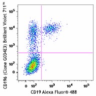 Brilliant Violet 711™ anti-human CD196 (CCR6) Antibody (353435)