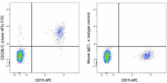 FITC anti-human CD32B/C Antibody (398407)