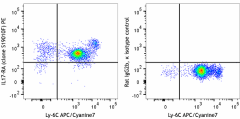 PE anti-mouse CD217 (IL-17RA) Antibody (106903)