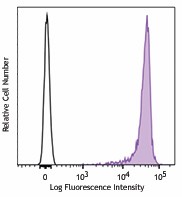 Brilliant Violet 605™ anti-mouse CD90.2 (Thy1.2) Antibody (105343)