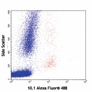 Alexa Fluor® 488 anti-human CD64 Antibody (305010)