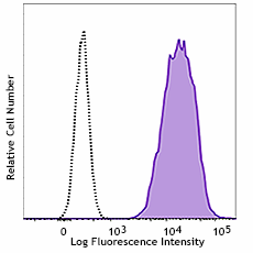 Purified anti-human CD66b Antibody (392902)