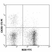 PE anti-mouse CD183 (CXCR3) Antibody (126505)