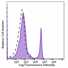 Spark Blue™ 550 anti-mouse CD4 Antibody (100473)