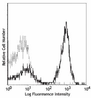 Biotin anti-mouse CD19 Antibody (101504)