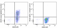 Purified anti-human CD239/B-CAM Recombinant Antibody (378802)