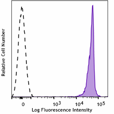Purified anti-mouse CD90.2 (Thy1.2) Recombinant Antibody (117102)