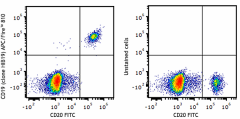 APC/Fire™ 810 anti-human CD19 Antibody (302271)