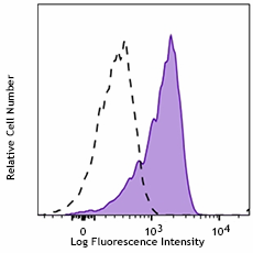 PE anti-human IRF1 Antibody (332904)
