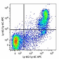 Purified anti-mouse CD182 (CXCR2) Antibody (149302)
