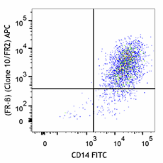 APC anti-mouse Folate Receptor β (FR-β) Antibody (153305)
