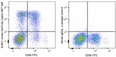 Spark NIR™ 685 anti-human KLRG1 (MAFA) Antibody (367739)