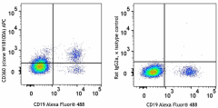 APC anti-human CD360 (IL-21R) Antibody (376105)