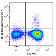 Brilliant Violet 570™ anti-human IL-17A Antibody (512323)