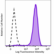 Purified anti-human CTAG1B Antibody (382302)