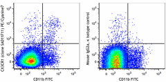 PE/Cyanine7 anti-mouse CX3CR1 Antibody (149015)