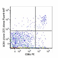 Alexa Fluor® 647 anti-mouse/rat XCR1 Antibody (148213)
