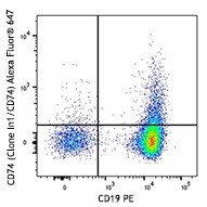 Alexa Fluor® 647 anti-mouse CD74 (CLIP) Antibody (151003)