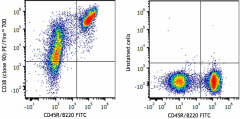 PE/Fire™ 700 anti-mouse CD38 Antibody (102747)
