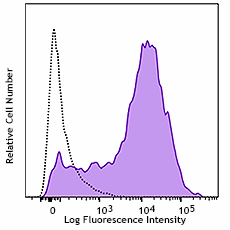 APC anti-rat CD25 Antibody (202113)