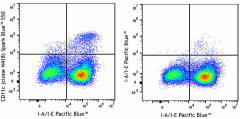 Spark Blue™ 550 anti-mouse CD11c Antibody (117365)