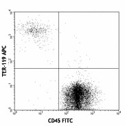 APC anti-mouse TER-119/Erythroid Cells Antibody (116211)