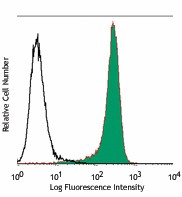Purified anti-human CD34 Antibody (343501)