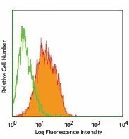 FITC anti-mouse IgE Antibody (406905)