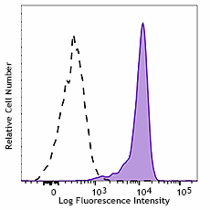 PerCP/Cyanine5.5 anti-human CD191 (CCR1) Antibody (362911)