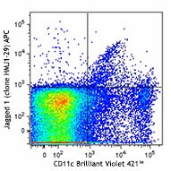 APC anti-mouse CD339 (Jagged 1) Antibody (130913)