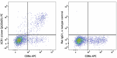 PE anti-mouse/rat XCR1 Recombinant Antibody (109405)