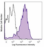 Brilliant Violet 711™ anti-human CD107a (LAMP-1) Antibody (328639)
