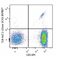 Brilliant Violet 785™ anti-human TCR Vα7.2 Antibody (351721)