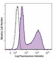 PerCP anti-mouse IL-17A Antibody (506943)