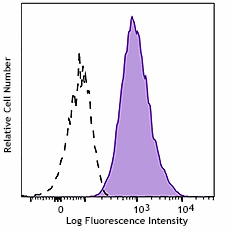 PE anti-human CD80 Recombinant Antibody (370611)
