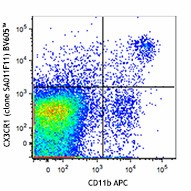 Brilliant Violet 605™ anti-mouse CX3CR1 Antibody (149027)