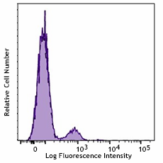 FITC anti-human CD56 (985908)