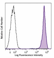 Purified anti-marmoset CD45 Antibody (250202)
