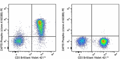 PE anti-ZAP70 Phospho (Tyr292) Antibody (693803)