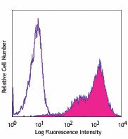 APC anti-human CD262 (DR5, TRAIL-R2) Antibody (307407)