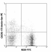 Biotin anti-mouse CD183 (CXCR3) Antibody (126503)