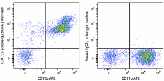 Purified anti-mouse CD172a (SIRPα) Recombinant Antibody (108602)