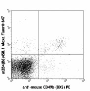 Alexa Fluor® 647 anti-mouse CD244.2 (2B4 B6 Alloantigen) Antibody (133509)