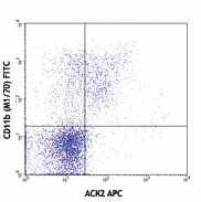 APC anti-mouse CD117 (c-kit) Antibody (135107)