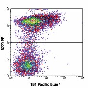Pacific Blue™ anti-mouse CD1d (CD1.1, Ly-38) Antibody (123516)
