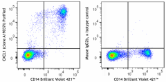 Purified anti-human CXCL1 (GROα) Antibody (310107)