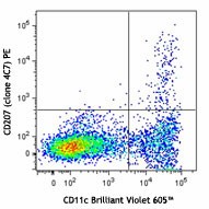 PE anti-mouse/human CD207 (Langerin) Antibody (144203)