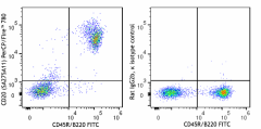 PerCP/Fire™ 780 anti-mouse CD20 Antibody (150439)