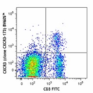 Brilliant Violet 605™ anti-mouse CD183 (CXCR3) Antibody (126523)