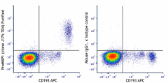 Purified anti-human Pro-Major Basic Protein 1 (ProMBP1) Antibody (346802)